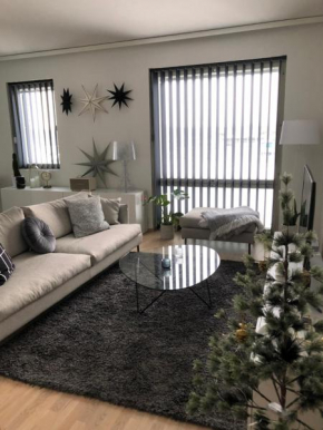 Beautiful apartment at Toppilansalmi, Oulu